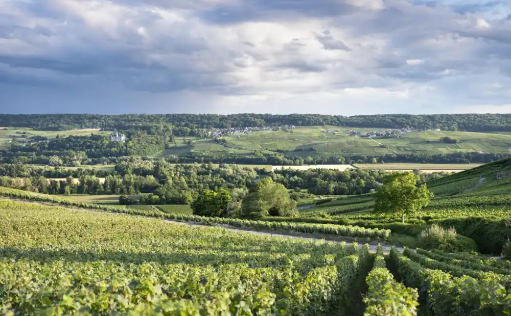 marne valley south of reims in french region champagne ardenne