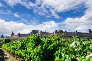 champagne vineyards carcassonne background france