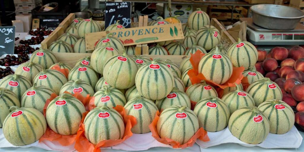 Stacked Cavaillon melons with labels at a Provence market during the Melon Festival