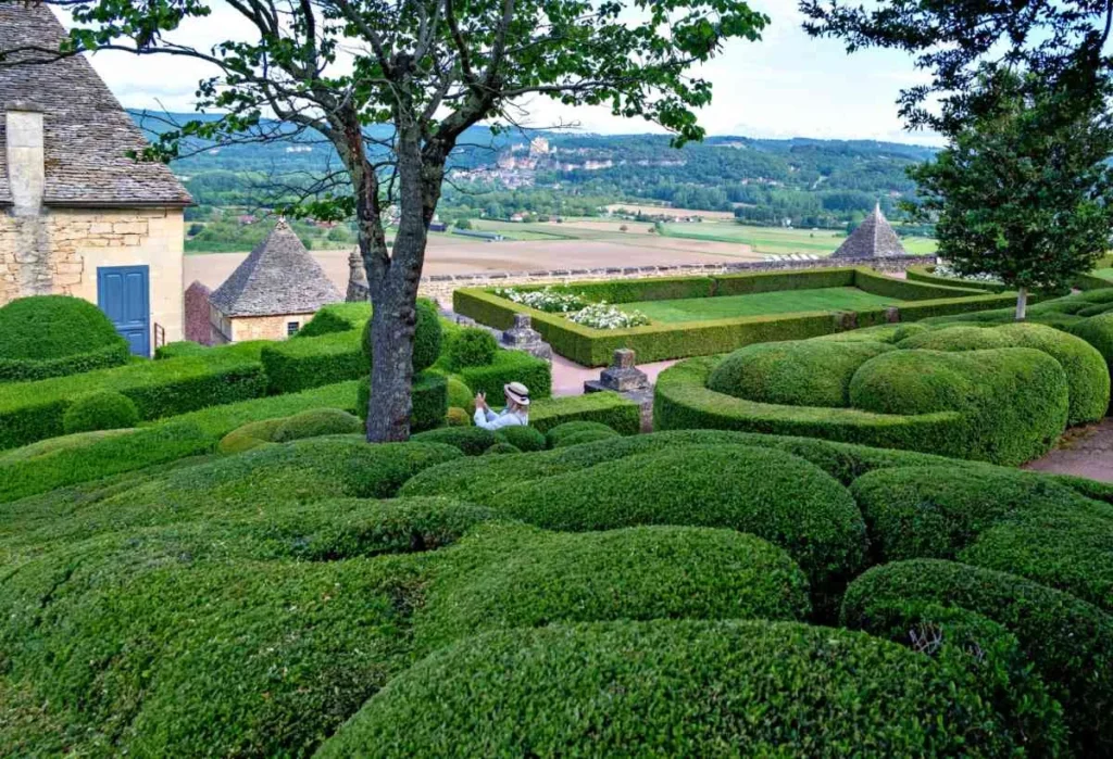 box trees of the garden of Marqueyssac