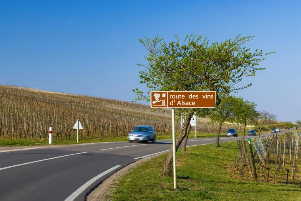 Alsace wine route road sign beside vineyards