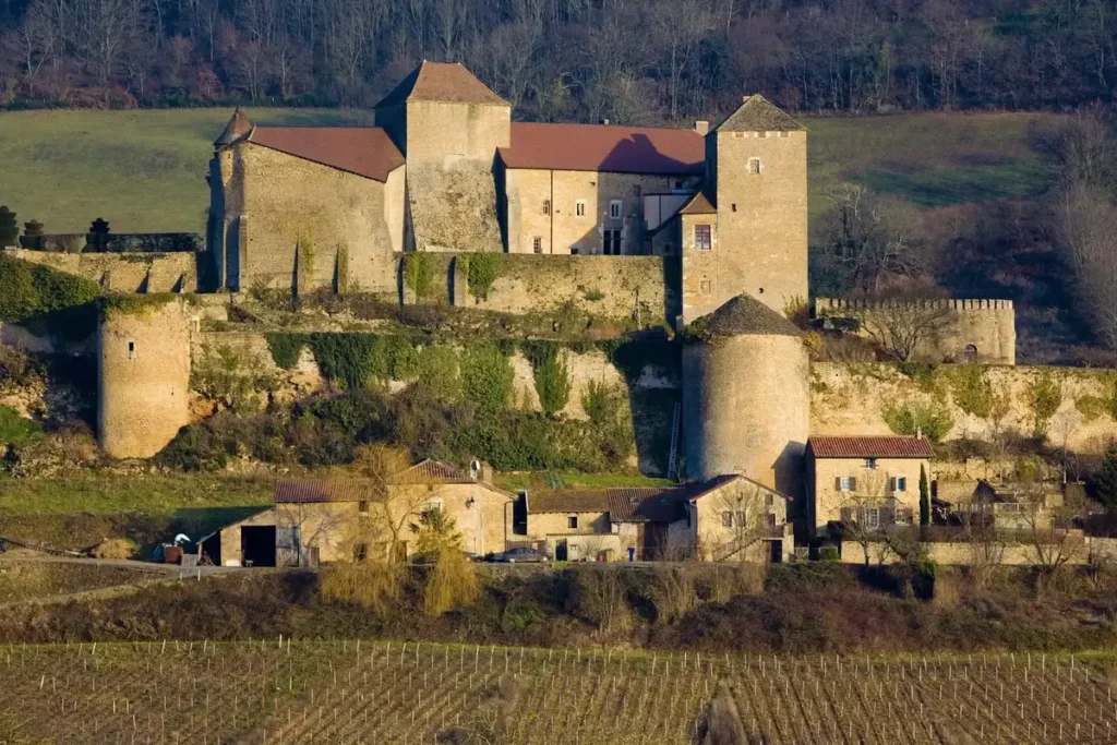 Historic stone castle complex overlooking vineyards and rural village