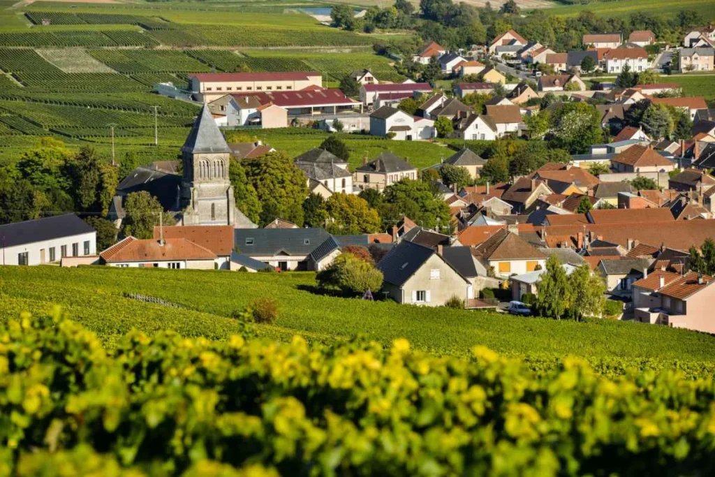 Champagne vineyard village for a birthday trip in France