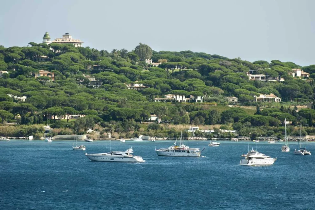 Coastal view with yachts and pine-covered hillside on the French Riviera