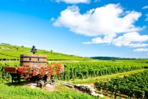 best places to visit in france. Vineyards and rolling countryside in Côte de Beaune