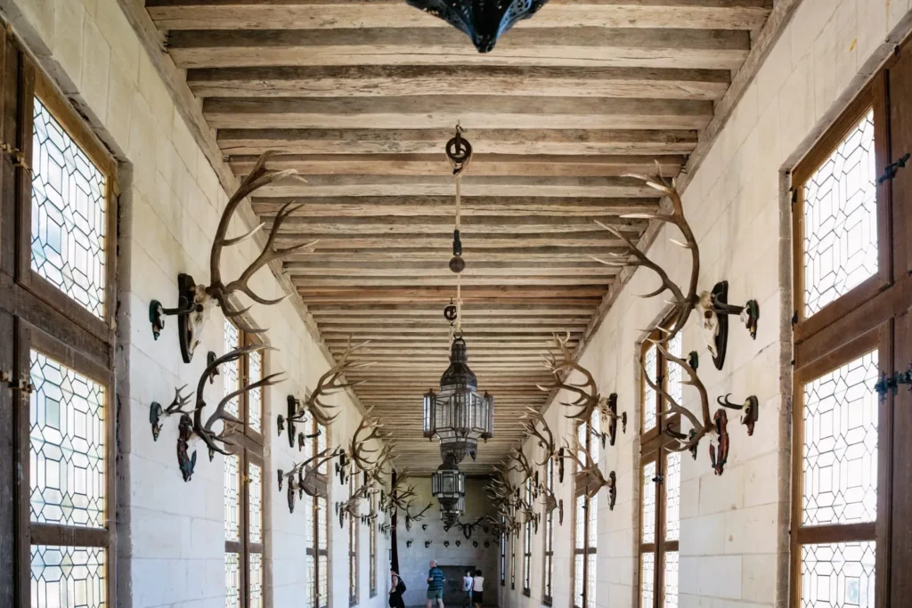 Historic castle hallway decorated with mounted antlers and hanging lanterns.