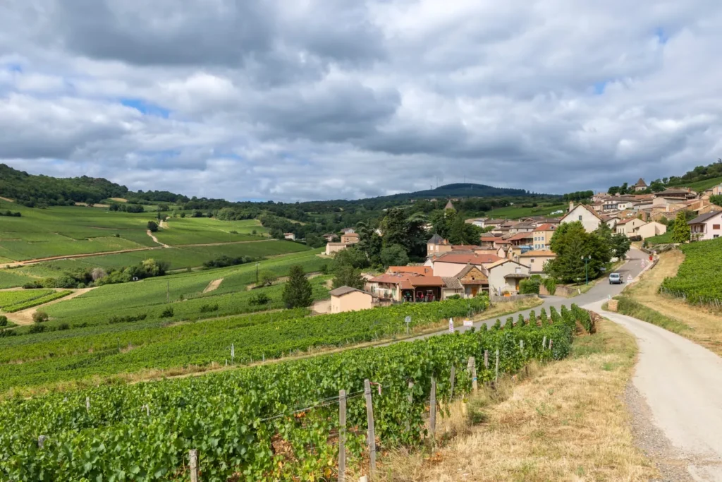 French village surrounded by vineyards