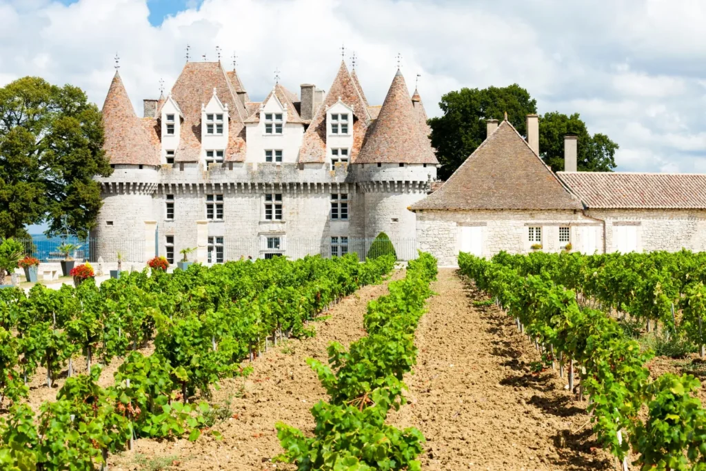 Historic chateau beside green vineyard rows