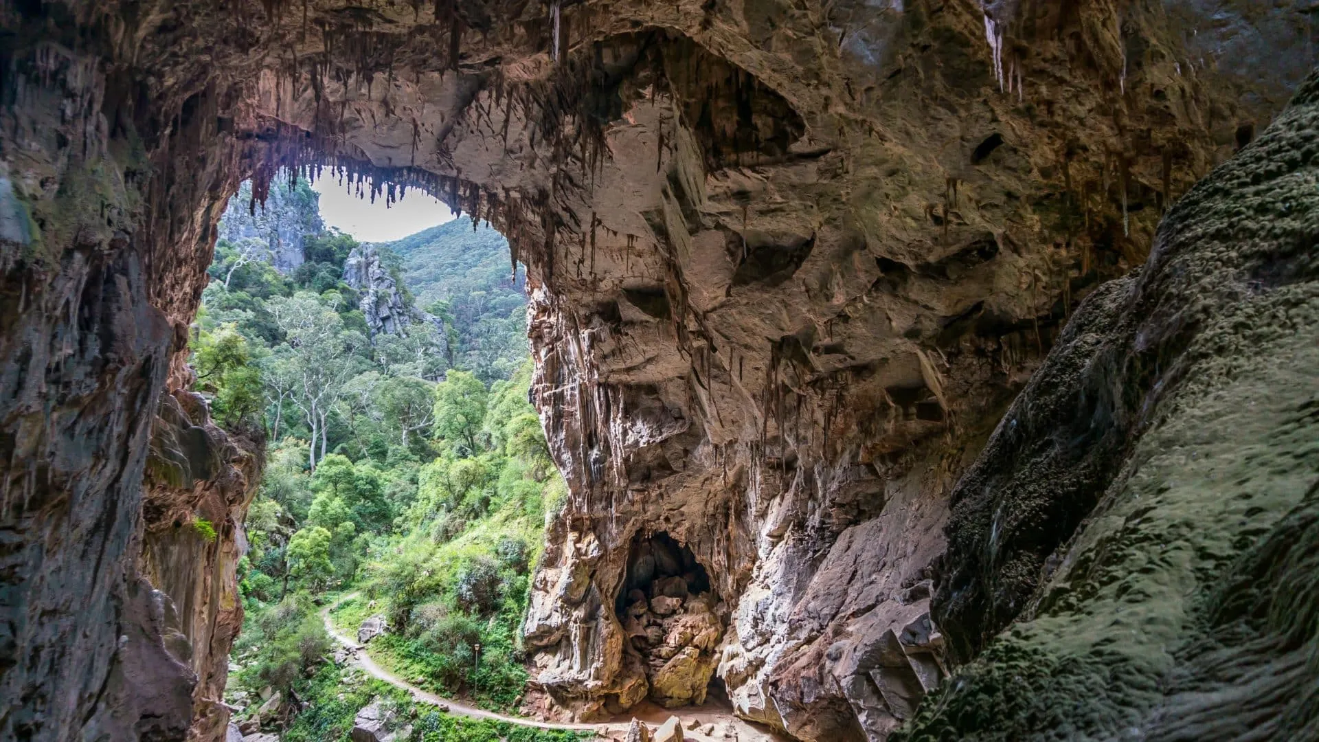 Large cave entrance in Dordogne