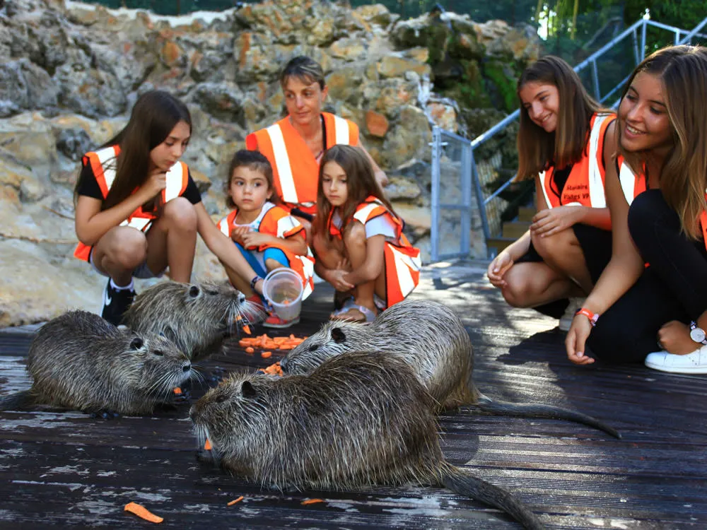 Children feeding nutria at a family attraction in Dordogne