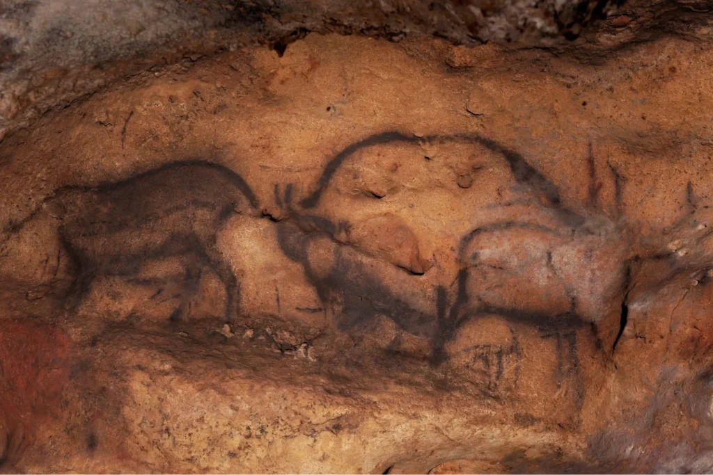 Prehistoric bison paintings on a cave wall